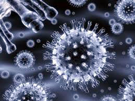 VIRUS DELL’INFLUENZA AVIARIA A(H7N9) IN CINA