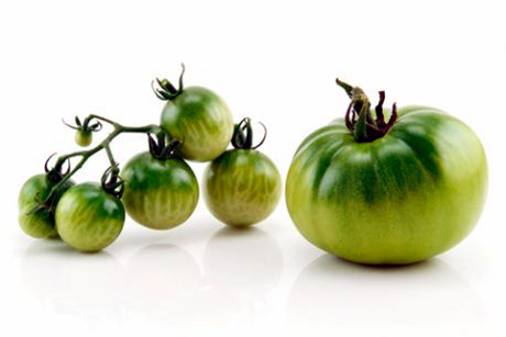 I pomodori verdi per combattere l’atrofia muscolare