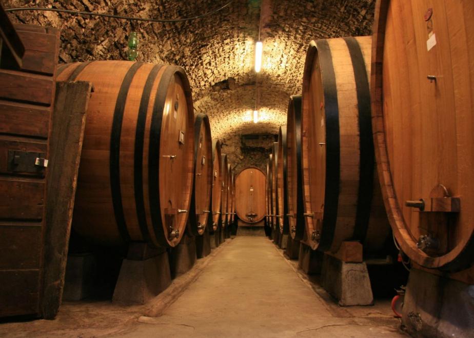 Agrinsieme Puglia sollecita interventi per fronteggiare la crisi vitivinicola