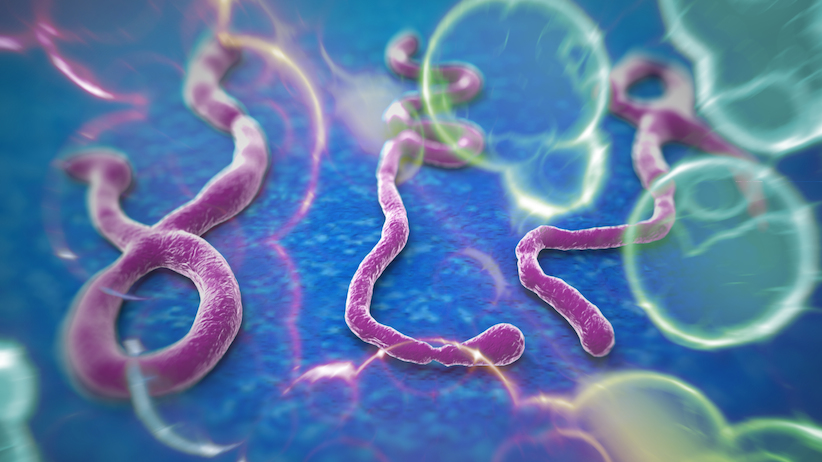 Ebola. Medici Senza Frontiere: Epidemia “fuori controllo”