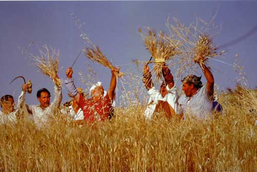 CASTELLANETA. Luoghi del Mito “2^ Festa del grano”