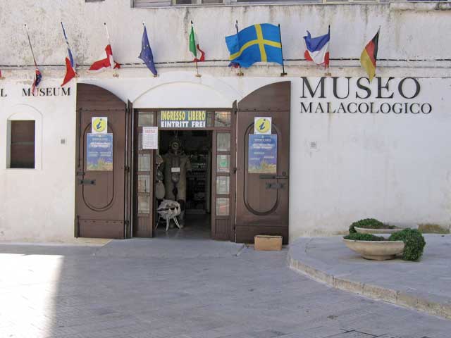 TARANTO. Visita guidata al Museo Malacologico, al Centro storico ad ai Trabucchi di Vieste