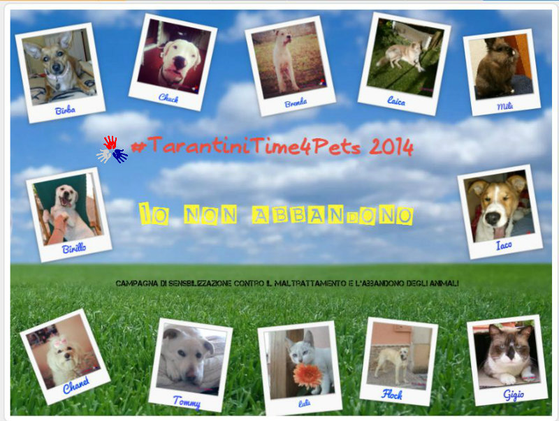 #TarantiniTime4Pets 2014 – Un contest fotografico contro l’abbandono degli animali