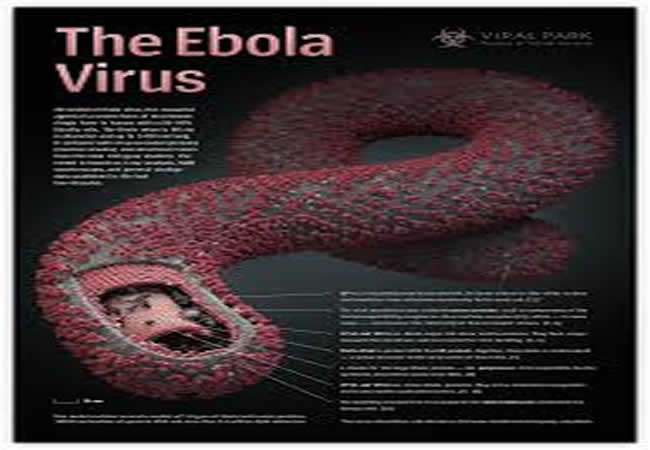Istanbul: 23enne italiana ricoverata con sintomi simili all’Ebola