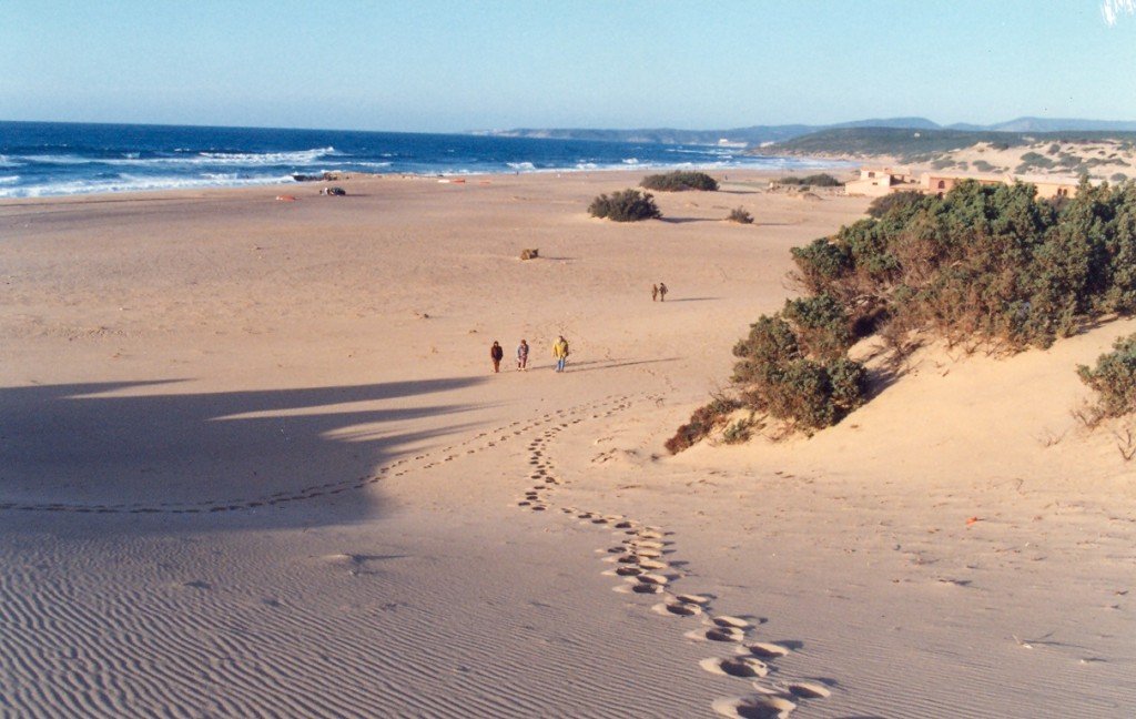Ripulisce la spiaggia dai rifiuti: ambientalista “premiata” con multa da 167 euro