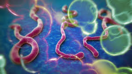 Ebola: il vaccino che dovrebbe sconfiggere il virus si prepara in Italia