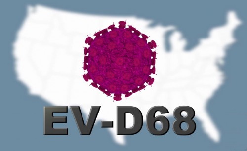 I funzionari della sanità avvertono i genitori di New York sui virus respiratorio EV-D68