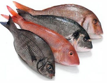 Mangiare pesce potrebbe ridurre il rischio di perdita dell’udito