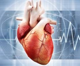 Australia: chirurghi trapiantano il primo cuore “morto”