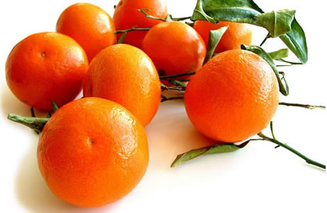 Confagricoltura: scatta l’allarme clementine