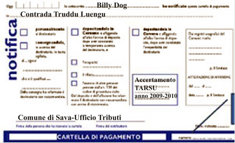 SAVA. Ad un cane randagio arriva l’accertamento della tassa dei rifiuti dell’anno 2009-2010