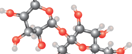 Una molecola miracolosa per smettere di fumare?