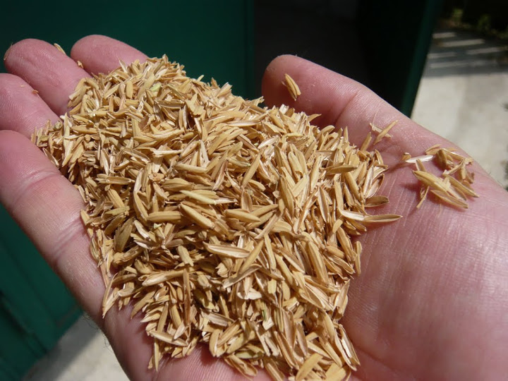 Ambiente: Goodyear utilizzerà la buccia del riso nelle vostre gomme