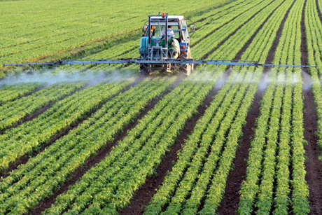 Pesticidi: 45% del cibo europeo contiene residui. Le quantità saranno identificate. Ma l’EFSA (l’Autorità europea per la sicurezza alimentare) assicura: nessun effetto sulla salute