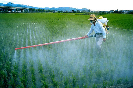 Cinque pesticidi classificati cancerogeni “probabili” o “possibili”. Lo Sportello dei diritti mette in guardia contro l’uso sistematico di insetticidi