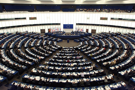 Dal 18 al 21 maggio il Parlamento europeo si riunisce in sessione plenaria per parlare di Xylella fastidiosa
