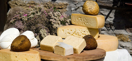 Dalla Russia. 500 tonnellate di formaggio sequestrati per oltre 30 milioni di dollari di valore