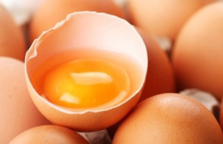 Allerta alimentare. Salmonella nelle uova