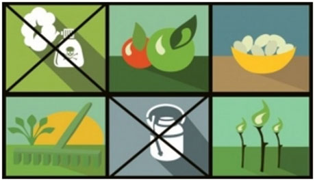 Stop pesticidi: il nuovo rapporto di Legambiente sui residui chimici nei prodotti alimentari