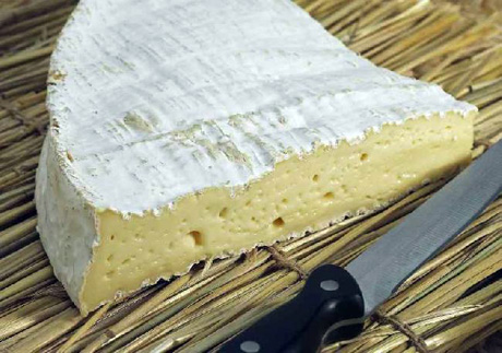 Allerta europea per Listeria monocytogenes nel formaggio Brie con tartufo marchio  “Traditions Terroirs”
