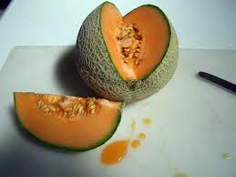 Salmonella in melone cantalupo Del Monte e Sysco, allarme in Canada
