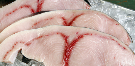Fette congelate di marlin infette: alto rischio di «avvelenamento da sgombroidi»