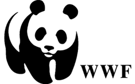 FSC® Italia e WWF Italia insieme per promuovere la buona gestione forestale
