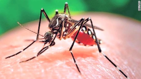 Virus zika, i casi si moltiplicano in Italia. Rispetto ai 31 casi di alcune settimane fa aggiornato il dato a 61