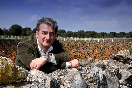 Confagricoltura: vendemmia 2016, una sorsata d’ottimismo per la produzione di vino Doc Primitivo di Manduria