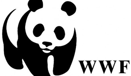 CACCIA: WWF, AL VIA LE ‘PREAPERTURE’ NONOSTANTE L’EUROPA E I DATI SCIENTIFICI SIANO CONTRO
