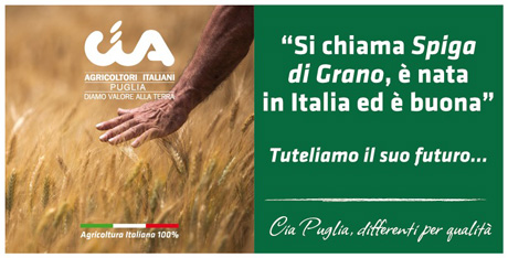 Grano, Cia: tutela prodotto “made in Italy” e interessi agricoltori è nostra prerogativa