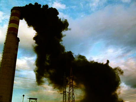 WWF. Petizione salviamo #MIGLIAIADIVITE, per la chiusura di tutte le centrali a carbone in Italia entro il 2025: tante firme e adesioni