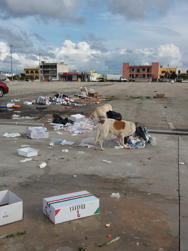 SAVA. Area mercatale. Ogni fine lunedì, il piazzale è sempre così