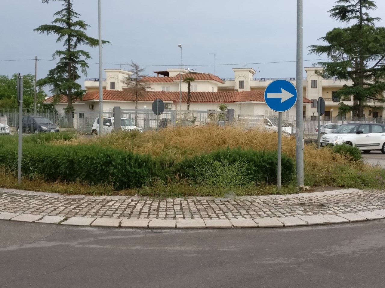 Manduria. “LA TUTELA DEL VERDE PUBBLICO COME ESEMPIO DI PARTECIPAZIONE”