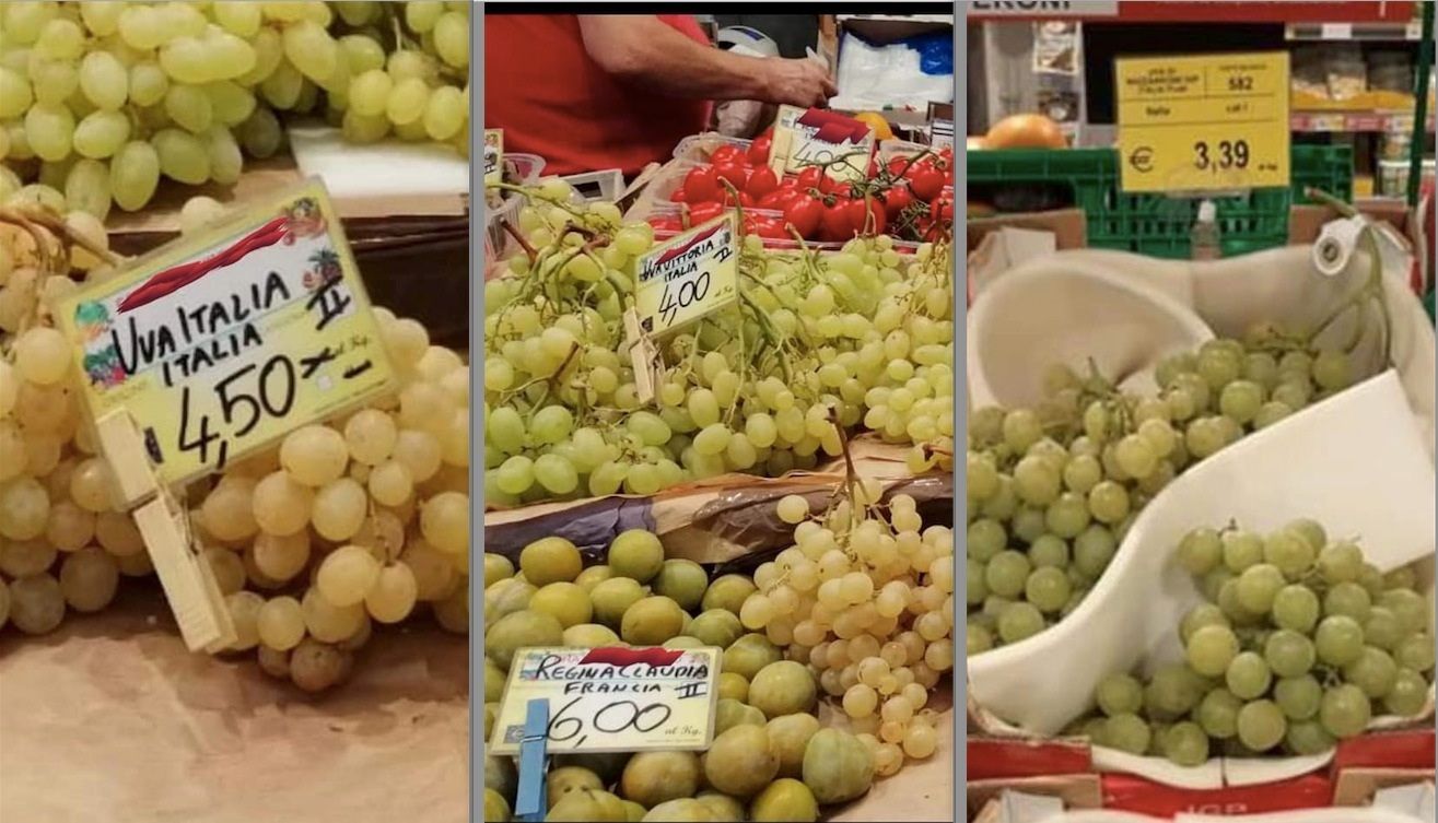 Uva da tavola, 60 cent ai produttori ma fino a 6 euro in supermercato. Problema sentito in tutta la Puglia: la situazione a Taranto, Bari, Brindisi, Foggia e Lecce