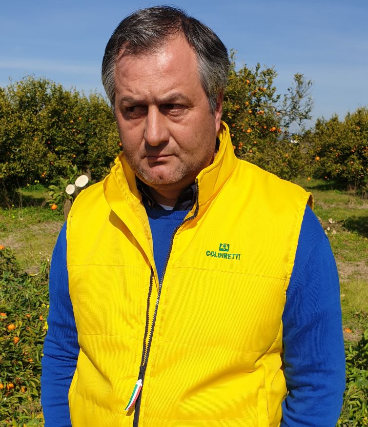 CALAMITÀ: COLDIRETTI TARANTO, CAVALLO ‘ORA BASTA. VANNO RIVISTE ASSICURAZIONI IN AGRICOLTURA E GESTIONE DEL RISCHIO’