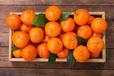 COLDIRETTI TARANTO. CRAC AGRUMI CROLLO DELLA  PRODUZIONE LORDA VENDIBILE