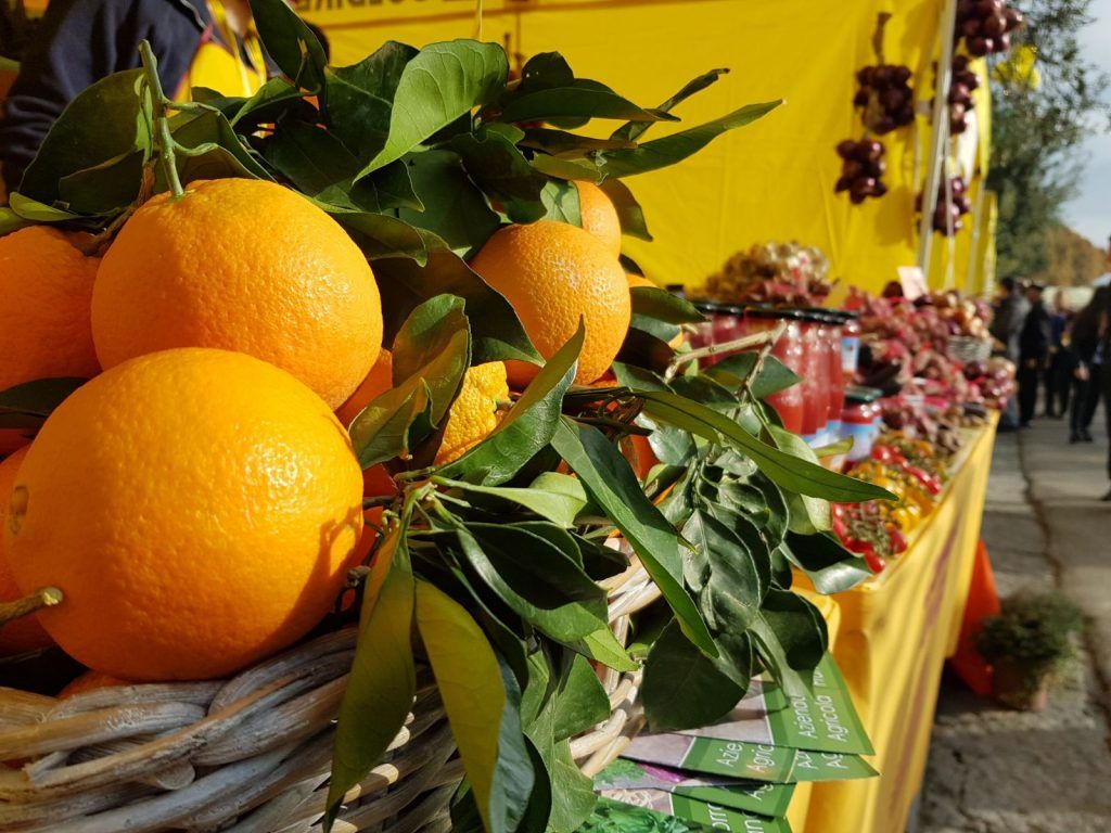 TARANTO. Coldiretti: “Agrumi a scuola”