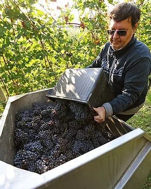 Vermouth e i suoi 30 anni. L’esperienza di Luigi Vico