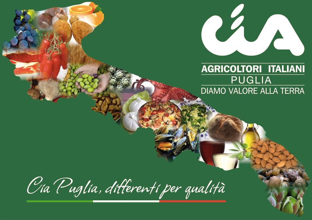 Puglia, è l’agricoltura il più grande datore di lavoro della regione