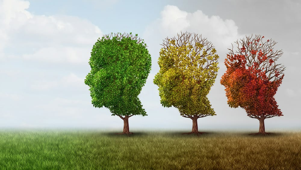 MESAGNE. 21 settembre: giornata mondiale dell’Alzheimer